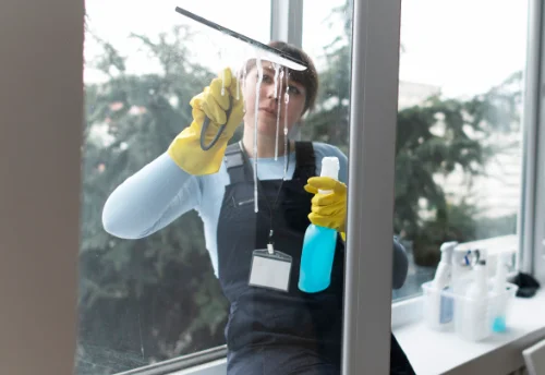 Nettoyage de vitres intérieures et extérieures à Rongères
